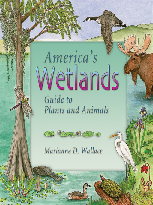Title details for America's Wetlands by Marianne D. Wallace - Available